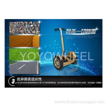 Gyro Stabilized remote control 1000w Electric Chariot Scoot